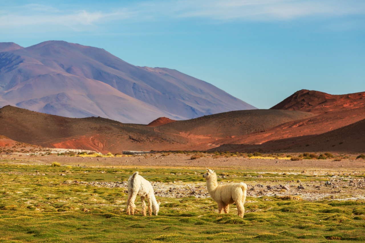 Beautiful Peru landscape